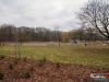 1632IMG_9436