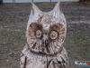1633IMG_9443