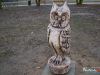 1633IMG_9444