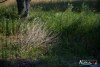 0923IMG_8885
