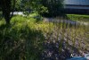 0924IMG_8888