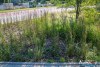 0924IMG_8891