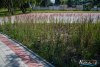 0924IMG_8892