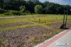 0930IMG_8924