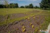 0931IMG_8932
