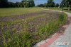 0931IMG_8933