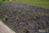 0931IMG_8935