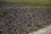 0931IMG_8936