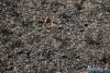 0931IMG_8937