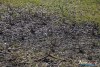 0931IMG_8939