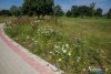 0932IMG_8942