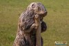 0932IMG_8943