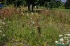0932IMG_8944