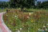 0932IMG_8945