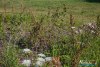0932IMG_8946