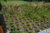 0933IMG_8951