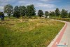 0933IMG_8952