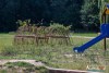 0933IMG_8956