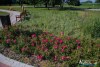 0934IMG_8959
