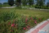 0934IMG_8960