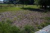 0935IMG_8964