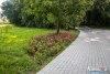 0936IMG_8968