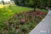 0937IMG_8969
