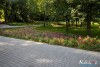 0937IMG_8970