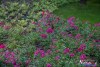 0937IMG_8972