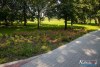 0937IMG_8976