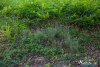 0937IMG_8977