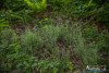 0937IMG_8978