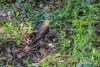 0937IMG_8984