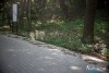 0938IMG_8988
