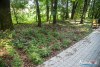 0938IMG_8989