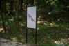 0938IMG_8990