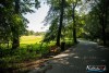 0938IMG_8991