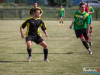 1654img_1132_06_24_2017