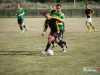1654img_1133_06_24_2017