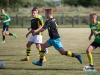 1658img_1147_06_24_2017