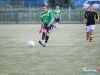 1700img_1153_06_24_2017