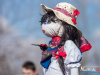 1213img_5041