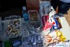 1141IMG_1880