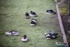 1209IMG_7952