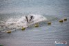 0931IMG_0038