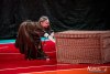 1526IMG_7670