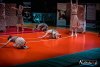 1530IMG_7720