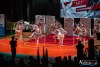 1533IMG_7742