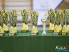 1737img_4161