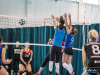 1146img_9990